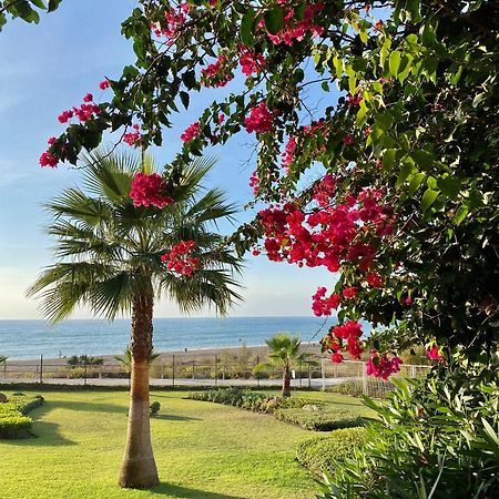 Sunshine Beach Front Complex, Wifi, Modern Casares Exterior photo